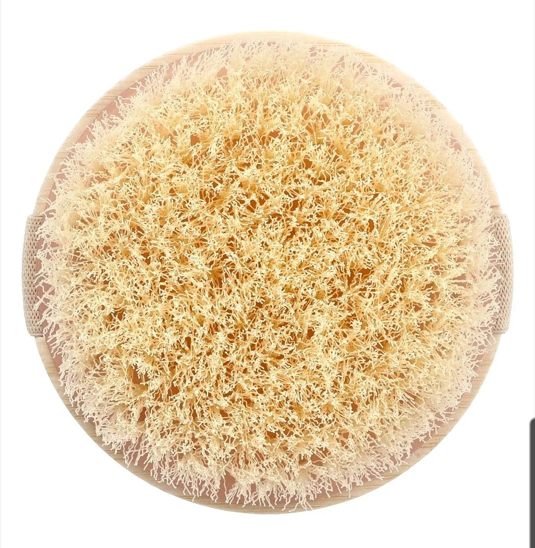 Eco Wooden Dry Brush