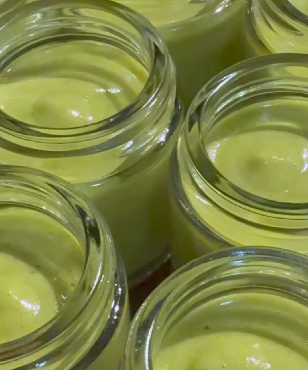 Organic Coconut Deodorant Cream - Cocosense - 50g