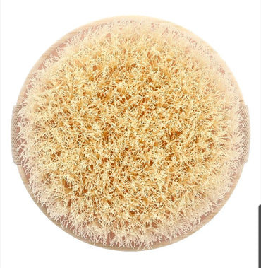 Eco Wooden Dry Brush