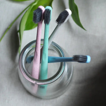 Wheat straw eco toothbrush - Plastic Free